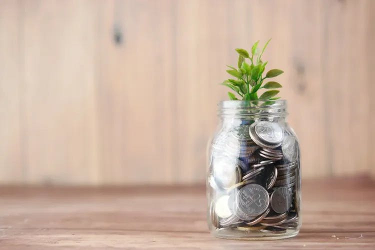 a saving jar with coins and a plant